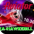 antigua hawksbill Deluxe Edition v4.2.3