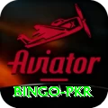 Bingo PKR Plus Pro v2.6.1