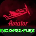 bingopkr Max v4.2.7