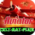 cricket bat APK Extreme v5.3.0