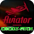cricket pitch Deluxe Edition v3.5.5