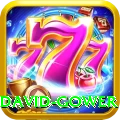 david gower Deluxe v4.3.4