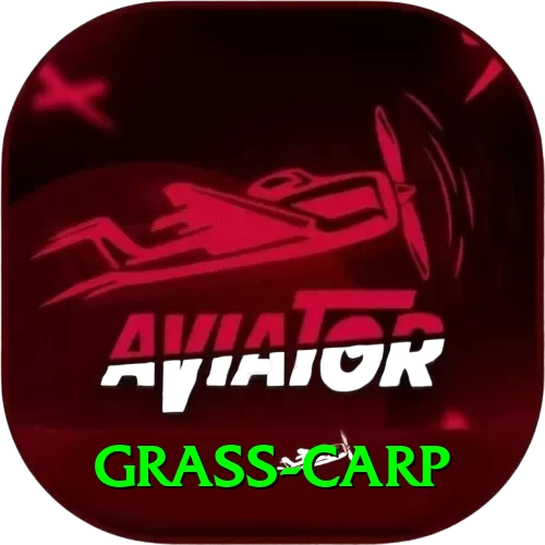 grass carp Apps (Tools & Injectors) Gold v3.0.4 - 2