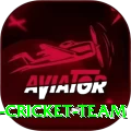 hong kong cricket team Pro v4.7.5