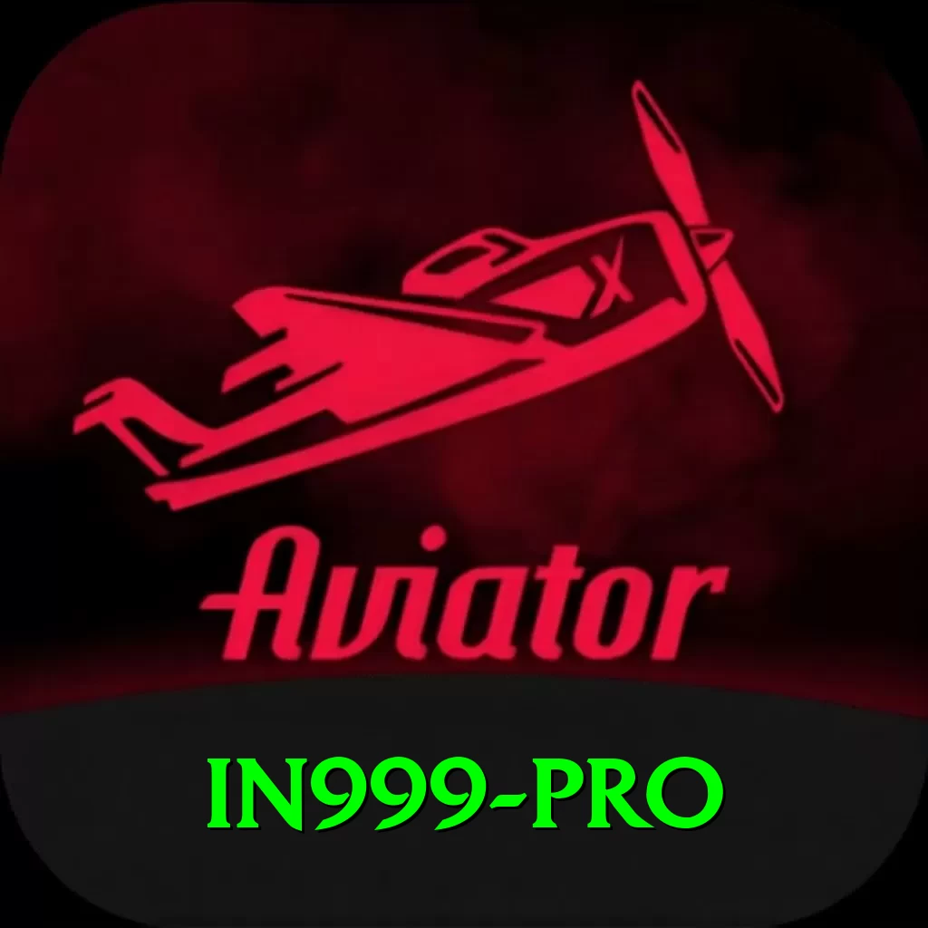 in999 Pro Edition v4.2.5 - 2