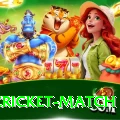 india cricket match Elite v5.3.1