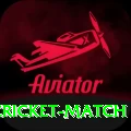 india newzealand cricket match Pro v2.0.9