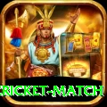 india pakistan cricket match Gold Pro v4.0.9