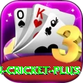 india pakistan cricket - Gold Edition v1.7.9