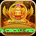 india pakistan cricket Money VIP v2.4.6