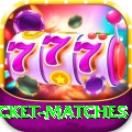 india upcoming cricket matches Plus v5.1.5