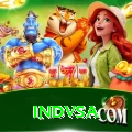 indvsa Pro Edition v4.5.0