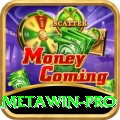 Metawin Pro Edition v4.7.5
