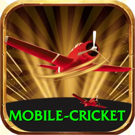 mobile cricket Deluxe Edition v3.3.3 - 2