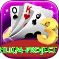 neelum jehlum project Max v1.1.5