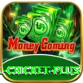 nepal cricket Deluxe v2.9.2
