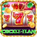 netherlands cricket team VIP Pro v4.5.4