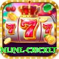 online cricket Deluxe Edition v5.4.9
