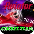 pakistan women cricket team Master v3.3.4