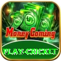 play cricket Plus Pro v4.5.6