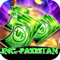 responsible gambling pakistan Turbo Pro v4.0.6