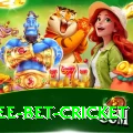 risk free bet cricket Ultimate Pro v4.8.2