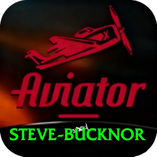 steve bucknor Premium Edition v1.3.5 - 2