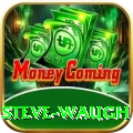 steve waugh VIP Pro v5.1.2