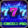 test cricket VIP - Casino & Slots