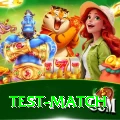 test match Deluxe Edition v5.2.7