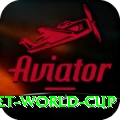 u19 cricket world cup Gold Pro v1.3.3