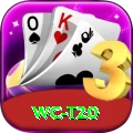 wc t20 Max v5.9.4