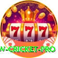 willow cricket - Slots Ultimate