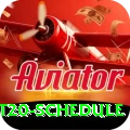 world t20 schedule Games (Casino & Earning) Pro v4.1.4