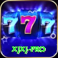 xjxj Pro Edition v5.3.0
